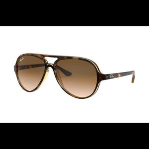 Raybans Cats 5000 Classic tortoise